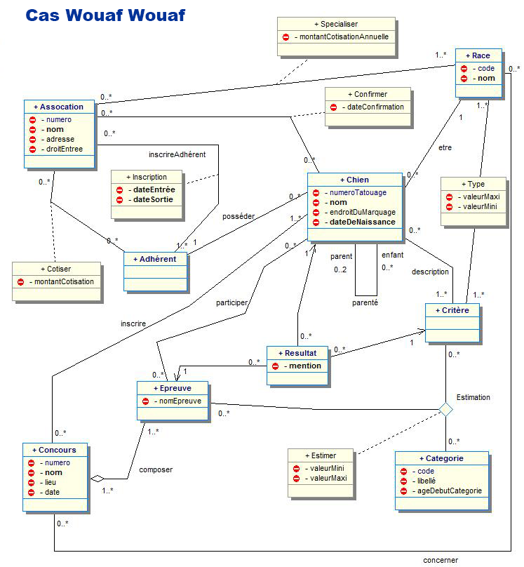 Lien vers le cas Wouaf Wouaf